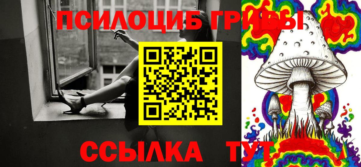 Первоуральск  Псилоцибиновые грибы GOLDEN TEACHER  Вход с VPN 